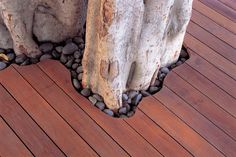 two large trees with rocks in between them on a wooden decking area that looks like it has been built into the ground