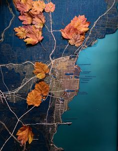 an image of autumn leaves on a map with water in the foreground and city streets