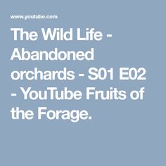 the wild life abandoned orchards - so1 e0 youtubee fruits of the force