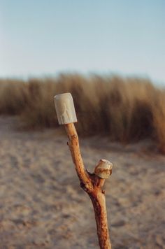 a piece of wood sticking out of the sand with a toothpick stuck in it