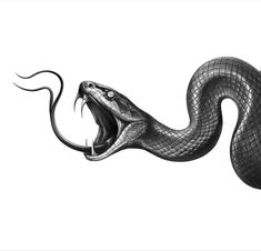 a black and white drawing of a snake with it's mouth open, on a white background