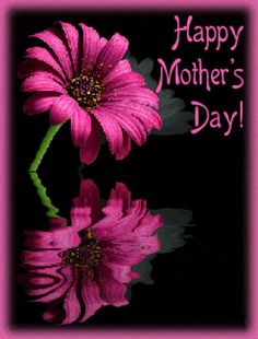 a pink flower with the words happy mother's day