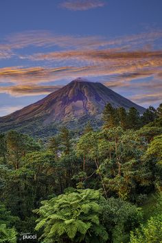 a mountain with trees and bushes in the foreground