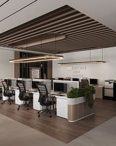 an office cubicle with desks, chairs and plants on the counter top in front of it