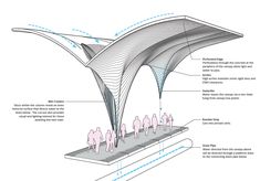 an architectural diagram showing the structure of a whale's tail