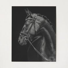 a black and white photo of a horse with a bridle on it's head