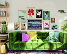 a green couch sitting in front of a wall filled with pictures and plants on top of it