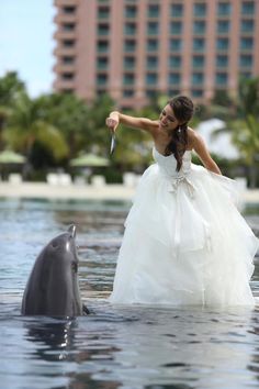 a woman in a wedding dress standing next to a dolphin