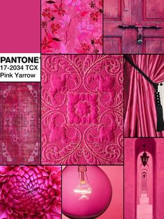 pantone's hot pink color scheme for interior design