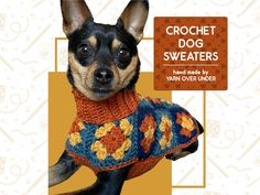 a small dog wearing a sweater with an orange and blue design on it's chest