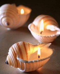 three seashell shaped candles sitting on top of a table