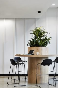 a wooden table with two chairs and a laptop on it in front of a plant