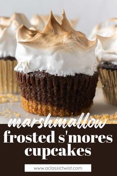 chocolate cupcakes with marshmallow frosting on top