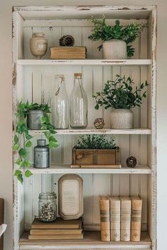 an old book shelf with plants and books on it