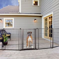 a dog standing behind a fence in front of a house