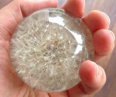 a person holding a glass ball with a dandelion in it's center