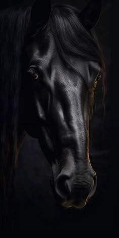 a black horse's head is shown against a dark background