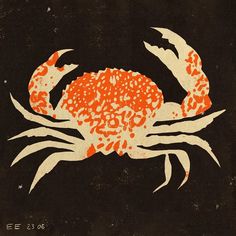 an orange and white crab on a black background