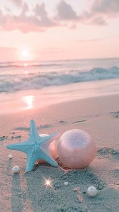 a starfish and shell on the beach at sunset