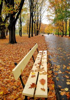 a park bench sitting on top of a sidewalk covered in fall leaves next to trees