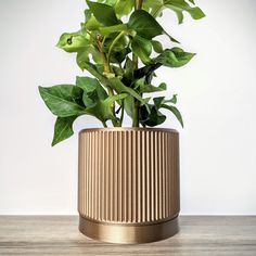 a potted plant with green leaves in it