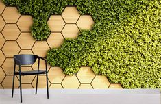 a chair sitting in front of a wall covered with green plants and hexagonal tiles