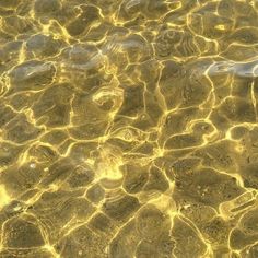 the water is crystal clear and reflecting sunlight on it's surface, as seen from above