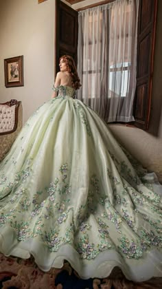 Ball Gowns Princess Fairytale, Green Quince Dress, Poofy Prom Dresses, Ball Gowns Fantasy, Retro Plus Size, Xv Dresses, Green Ball Gown, Green Quinceanera Dresses, Quinceanera Themes Dresses