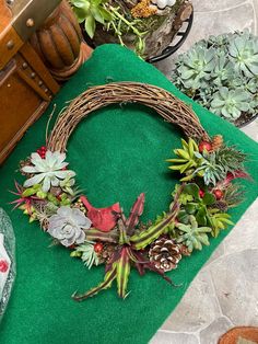 a wreath with succulents and pine cones on a green mat next to potted plants