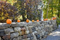 pumpkins are lined up on the side of a stone wall in front of trees