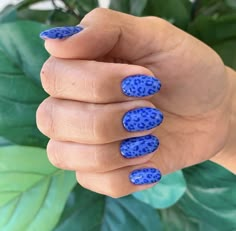 Blue On Blue Nails, Blue Nails With Nail Art, Western Pink Nails, Megan Moroney Nails, Fun Square Nails, Country Music Nails, Nail Designs Animal Print, New Trendy Nails, Blue Leopard Print Nails