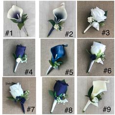 six different types of flowers are shown in this image, with the number seven on each side