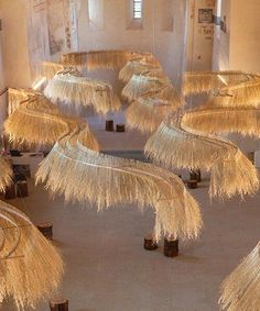 straw umbrellas are lined up in a room