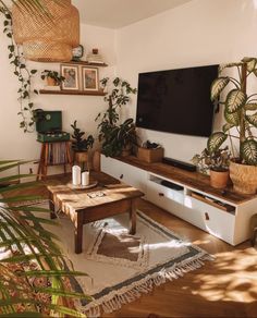 a living room filled with lots of plants next to a flat screen tv mounted on a wall