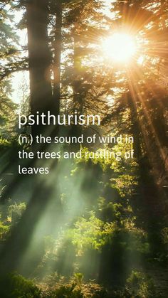 sunlight shining through the trees and into the ground with words on it that read, psithurism