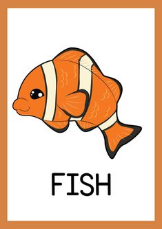 an orange and white fish with the word fish below it