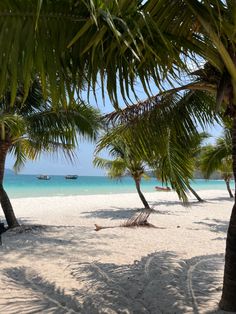 palm trees and hammocks on the beach with boats in the water behind them