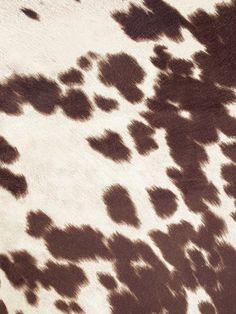 Morgan Fabrics/Udder Madness-Milk-MOR Vintage Fendi Bag, Cowhide Print, Faux Cowhide, Fall Background, Vintage Fendi, Cow Painting, Cow Skin, Animal Prints Pattern, Printed Backgrounds