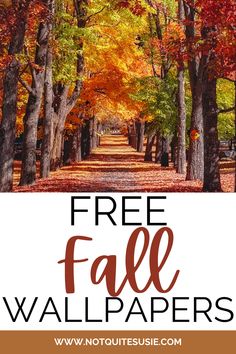 fall trees and leaves with the text free fall wallpapers overlaying it