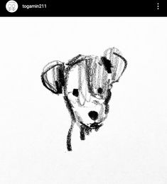 a black and white drawing of a dog's head