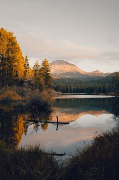 a lake surrounded by trees with mountains in the background