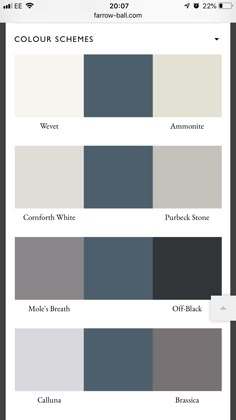 the color scheme is shown with different shades and colors for each type of paint palette