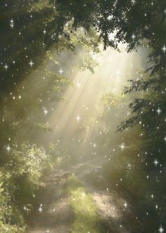 the sun shines brightly through the trees on a path in the woods with stars all over it