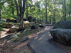 the path is surrounded by large rocks and trees