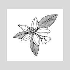 a black and white drawing of a flower