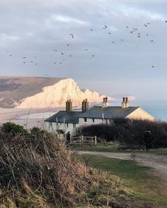 birds flying over the top of houses near the ocean and cliffs on a cloudy day