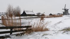 an old farm in winter with snow on the ground and grass growing out of it