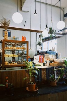 a counter in a restaurant with potted plants next to it and hanging lights above