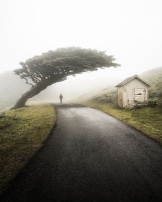 a person standing on the side of a road next to a tree with a house under it