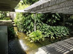 a small stream running under a bridge next to a lush green forest